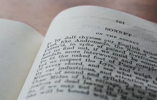 The art of understatement and litotes in English