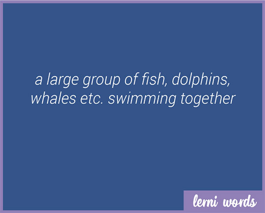 School of dolphins - Lerni Words